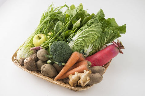 代替医療を学んできました！食育の大切さ♡